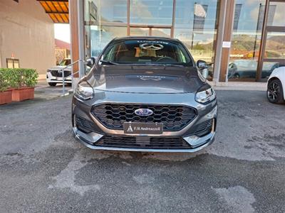 Concessionaria F.lli Andreazzoli - FORD Fiesta 7ª serie | ID 49392