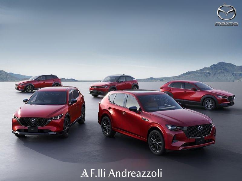 PROMO NOLEGGIO DRIVE4YOU 